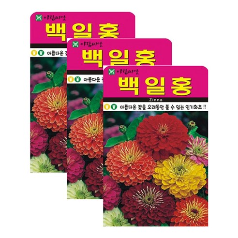 저스틴앤클로이 백일홍200립 고급꽃씨, 3개