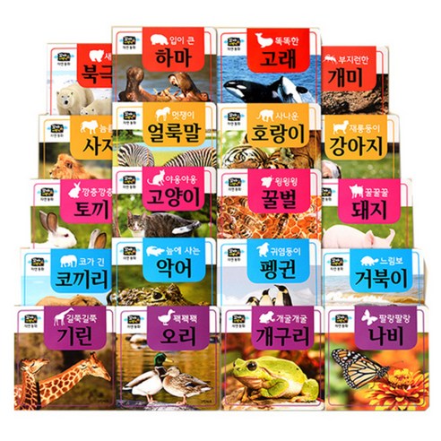 꼬마지팡이 자연동화 전20권 - 학습/백과/사전 | 쿠팡