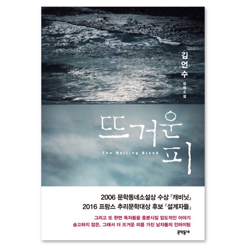 뜨거운 피:김언수 장편소설, 문학동네, 김언수 저