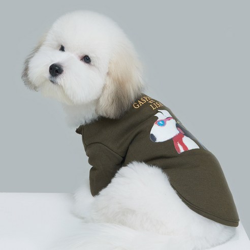 가스파드앤리사 라이징스타 반려동물 티셔츠, 카키