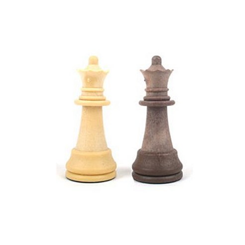 전략적 사고와 경쟁의 세계: 체스앤체커