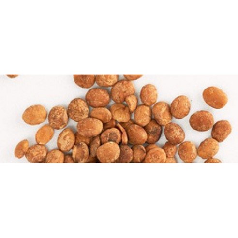 착한습관 사차인치넛 페루산, 200g, 3개