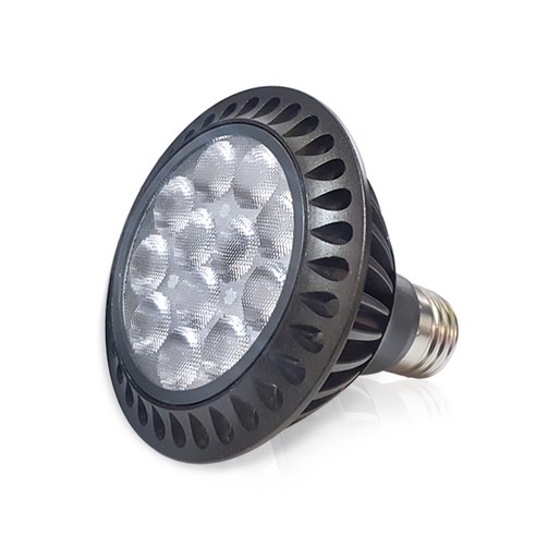 더쎈 동성 LED PAR30 15W KS, 주광색, 1개