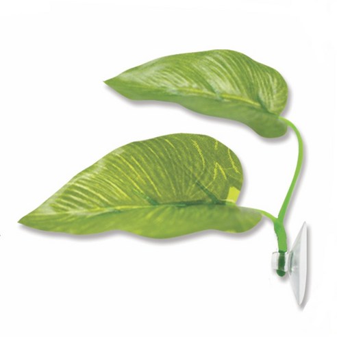 우리집 베타, 스트레스 없이 꿀잠 자는 비법! 숨숨집 하나로 평화로운 어항 만들기