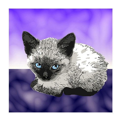 디아섹액자 벽걸이및테이플용, A Siamese kitten
