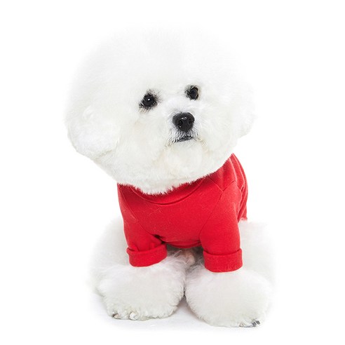 개니클로 반려견 터틀넥 티셔츠, 레드, 1개