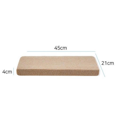 반려견의 안전을 위한 필수 아이템