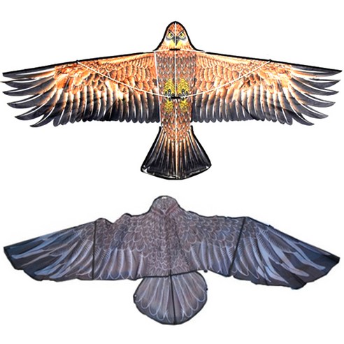 재미존 독수리 연 10000 세트 랜덤발송, 20개입 Best Top5 재미존 독수리 연 10000 세트 랜덤발송, 20개입 Best Top5