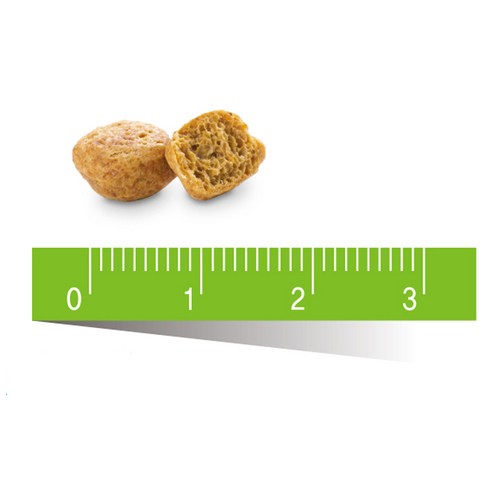 고양이의 건강한 미소를 위한 선택, 퓨리나 덴탈라이프 캣 트릿!