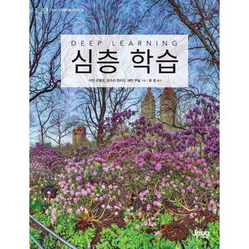 [제이펍]심층 학습, 제이펍, 에런 쿠빌
