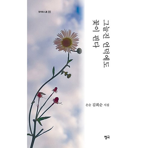 [鯡魚]即使在陰山上 鮮花也盛開 - 鯡魚詩人善406 鯡魚 金熙順 9791168551848 文學