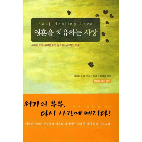 영혼을 치유하는 사랑:위기에 처한 부부를 위한 열 가지 실제적인 기술, 예영커뮤니케이션 사랑의기술 Best Top5