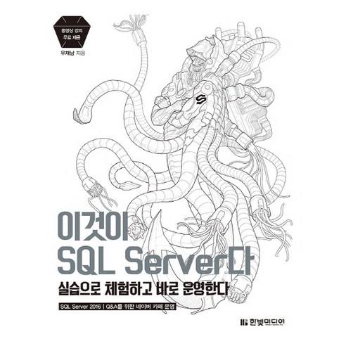 이것이 SQL Server다:실습으로 체험하고 바로 운영한다, 한빛미디어