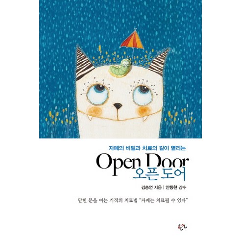 자폐의 비밀과 치료의 길이 열리는오픈 도어, 한언