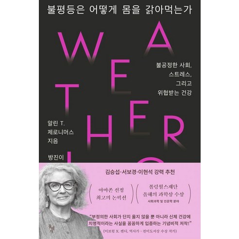 불평등은 어떻게 몸을 갉아먹는가:불공정한 사회 스트레스 그리고 위협받는 건강, 돌베개, 알린 T. 제로니머스