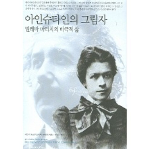아인슈타인의 그림자, 양문, 데산카 트르부호비치-규리치 저/모명숙 역