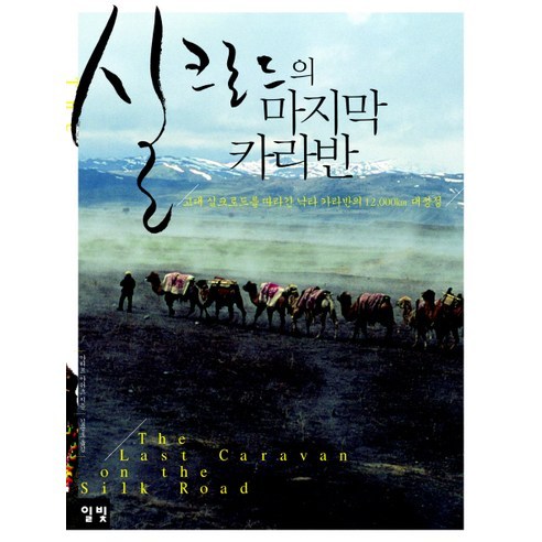 실크로드의 마지막 카라반:고대 실크로드를 따라간 낙타 카라반의 12 000km 대장정, 일빛, 아리프 아쉬츠 저/김문호 역