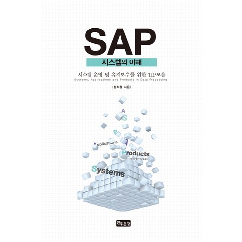 SAP 시스템의 이해, 좋은땅