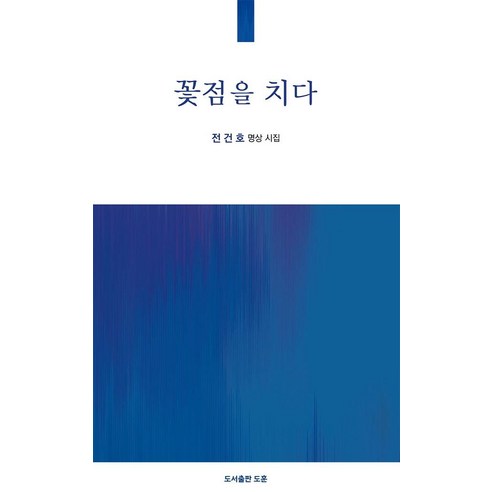 [도훈(도서출판)]꽃점을 치다 - 공감시선 6, 도훈(도서출판), 전건호 (지은이)