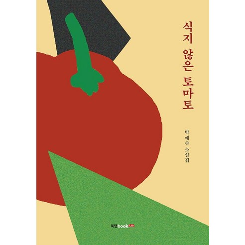 [북랩]식지 않은 토마토, 북랩, 박예손