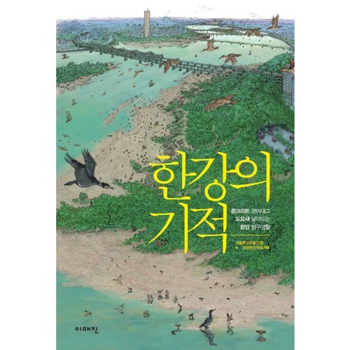 한강의 기적 : 콘크리트 걷어내고 도요새 날아드는 한강 탐구생활, 이매진, 서울환경운동연합,대한하천학회 공저