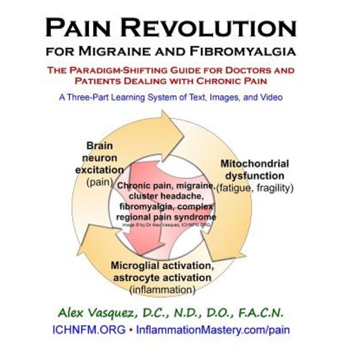 Pain Revolution for Migraine and Fibromyalgia: The Paradigm-Shifting Guide for Doctors and Patients De..., Createspace Independent Publishing Platform