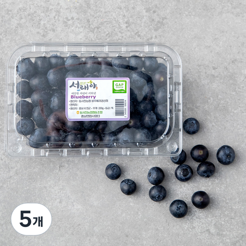 서래야 GAP 인증 블루베리, 200g, 5개