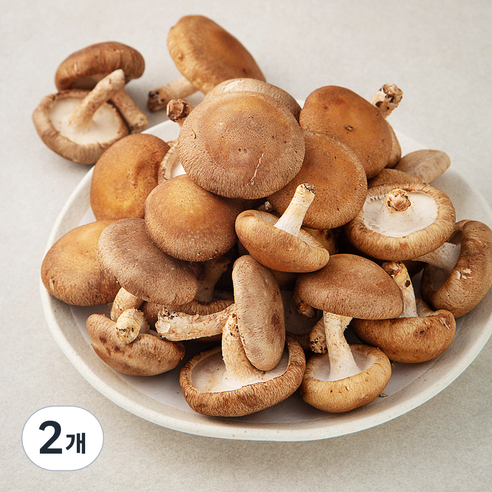 국내산 표고버섯, 1kg, 2개, 1kg × 2개이라는 상품의 현재 가격은 28,940입니다.