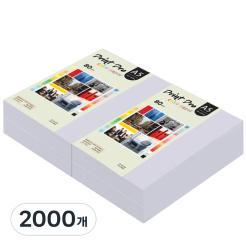 종이문화 프린트 프로 칼라복사지 No.20 라일락 80g, A5, 2000개