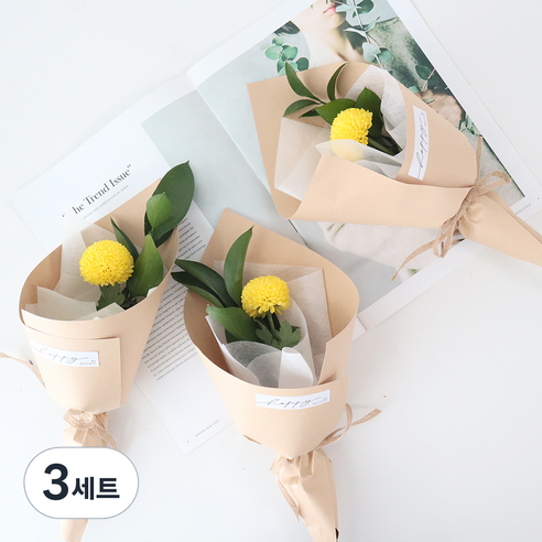 모리앤 생화 부담없는 1송이 꽃다발 퐁퐁 3개, 옐로우, 3세트