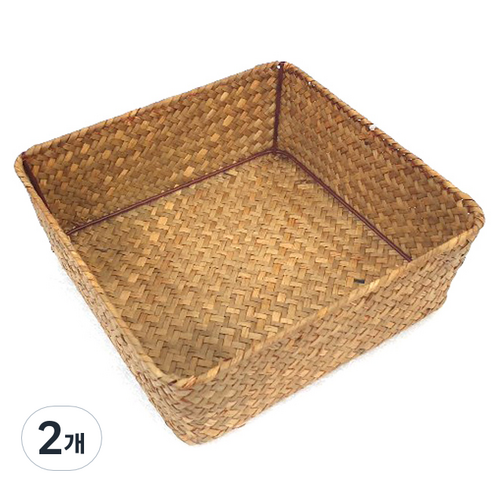 내일의공간 정사각 라탄 바구니 대 23 x 23 x 8 cm, 네츄럴, 2개
