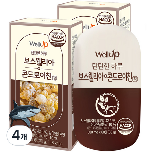 로엘 웰업 보스웰리아 상어연골 콘드로이친정 4개월분, 60정, 4개, 60정