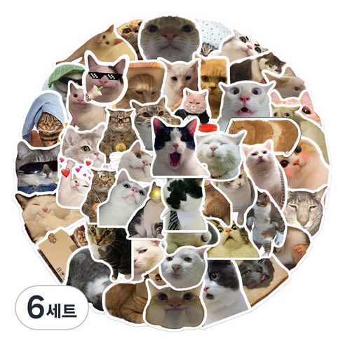 특별한상점 노트북 캐리어 여행 귀여운 고양이 스티커 세트 GT216, 미야오 월드, 6세트