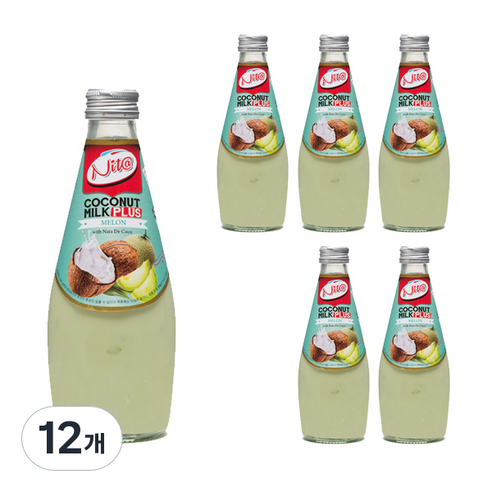 니타 코코넛밀크 플러스 멜론맛, 12개, 290ml