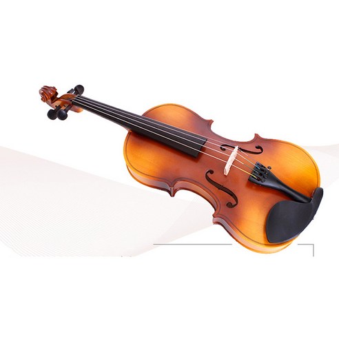 꿈을 연주하다, 티커스텀 바리우스1 바이올린