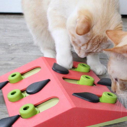 니나오토슨 고양이 멜론 매드니스 퍼즐 장난감, 혼합색상, 1개