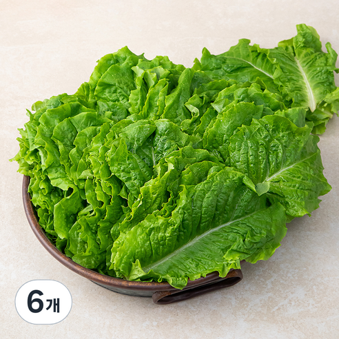 국내산 청상추, 1kg, 6개