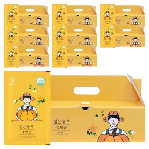 푸릇담 국내산 젊은농부 호박즙, 3L, 9개