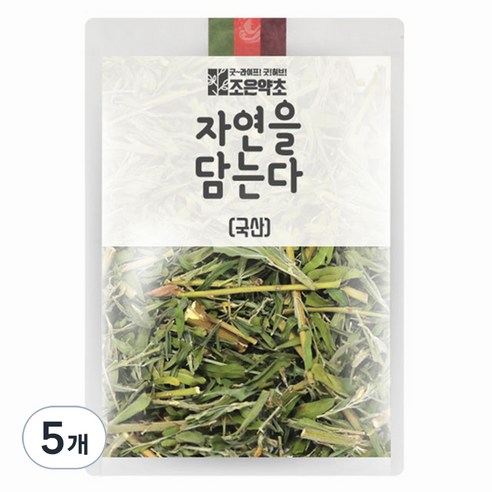 조은약초 자연을 담는다 프리미엄 야관문, 200g, 5개