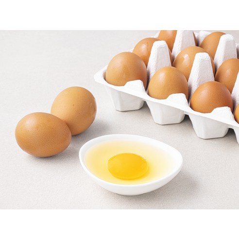 신선하고 건강한 동물복지 계란