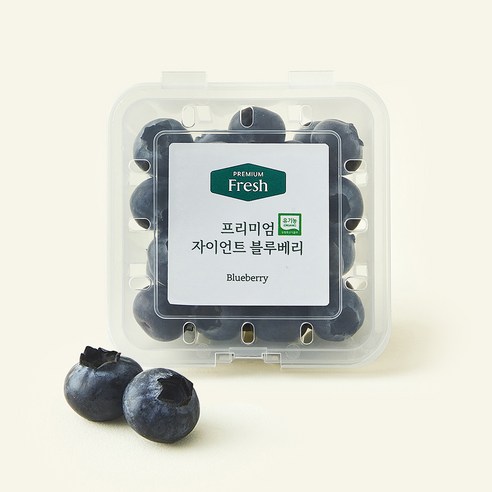 [로켓프레시] 프리미엄 유기농 자이언트 블루베리, 1개, 100g