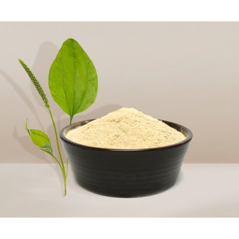 자연초 차전자피분말로 장 건강과 활력을 되찾으세요.