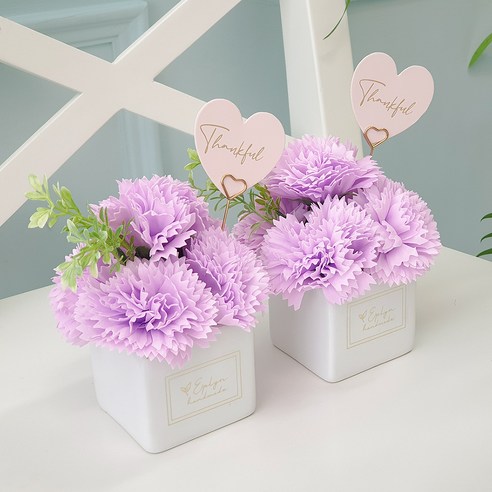 실용적이고 향기로운 선물을 위한 세련된 비누꽃 카네이션 화분