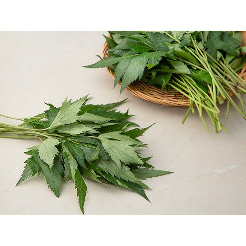 향긋한 당귀잎으로 밥상에 싱그러움을 더하세요!