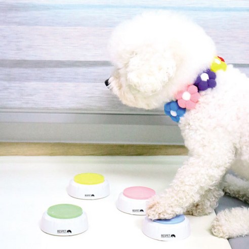 리스펫 말하는 강아지 녹음벨 훈련용품 4종 세트, 핑크, 그린, 옐로우, 블루 × 1세트
