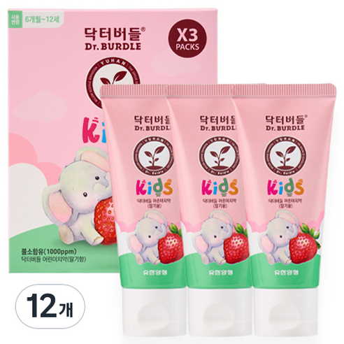 닥터버들 불소함유 어린이 치약 딸기향, 60ml, 12개