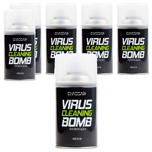 차싹 원터치 살균 차량용탈취제 피톤치드향, 112g, 6개