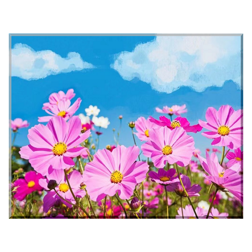 모모픽스페인팅 DIY 명화 그리기 세트 40 x 50 cm, J47코스모스풍경, 1세트