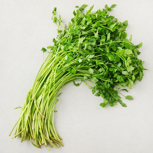 국내산 청도미나리, 400g, 1봉