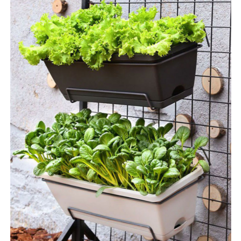 앙플랜트 직사각 텃밭 화분 세트로 도심 속 나만의 작은 정원을 가꿔보세요.